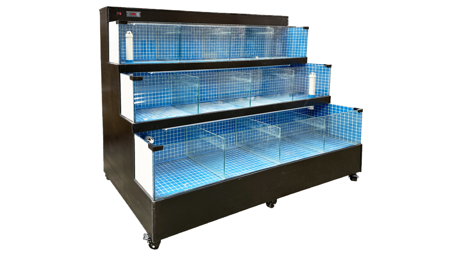 80 inches Sea Water Seafood Lobster Display Case HL80