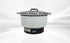 15L Rice Cooker Natural Gas or Propane GF20Y-15L-A