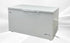 NSF 50 inch Chest freezer 13 cu ft XF-402