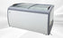 NSF 60 inchs Curved Lid Chest Glass Freezer XS-460YXL