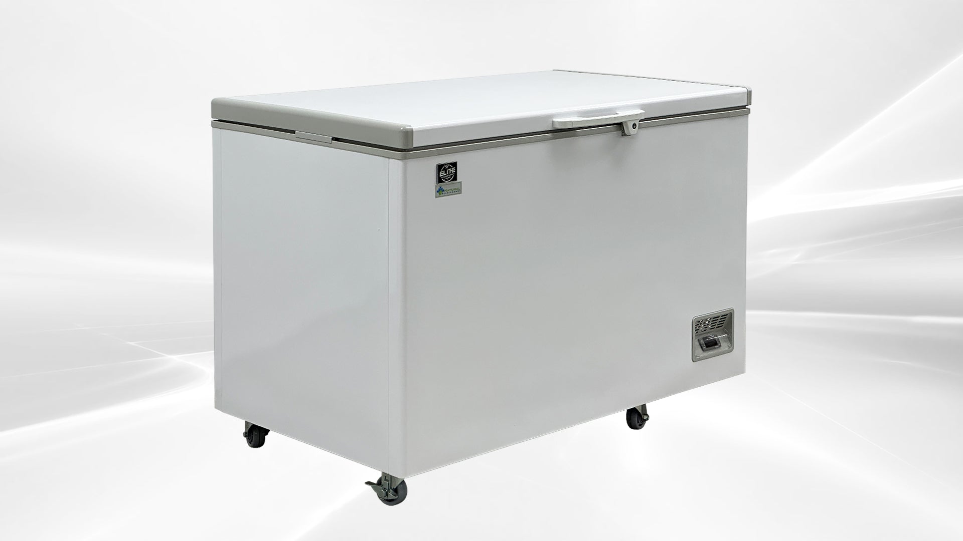 NSF 49 inch Chest Freezer 420L BD-420