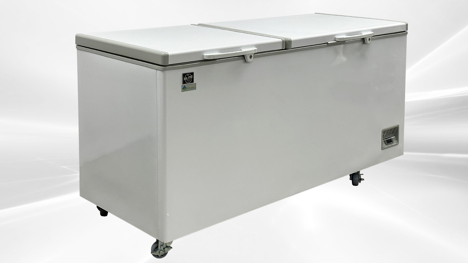 NSF 72 inch Chest Freezer BD-620