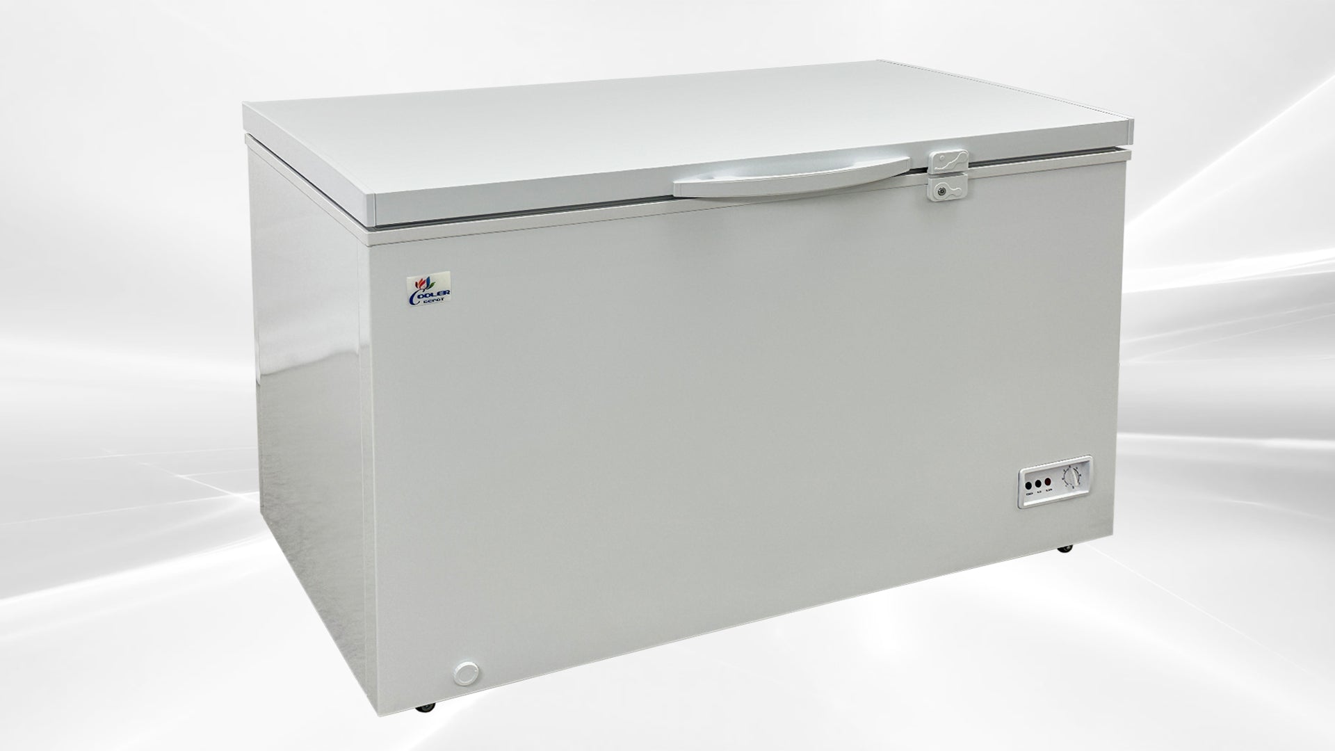 NSF 50 inch Chest freezer 13 cu ft XF-402