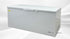 NSF 65 in Solid Top Chest freezer 18 cu ft XF-562