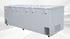 NSF 105 inch Chest freezer 42 cu ft BD1250